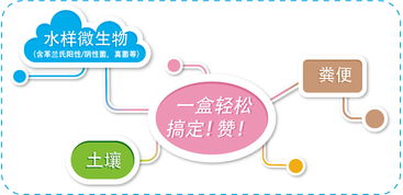 磁珠家族新成員 生工生物為生命科學提供更全面的產(chǎn)品與技術(shù)服務