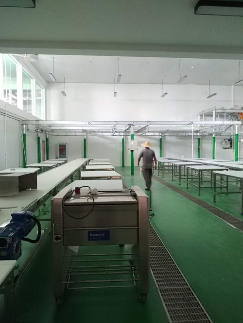 凱斯樂(lè)屠宰設(shè)備與肉類深加工設(shè)備成功落戶云南某廠，全面進(jìn)入安裝調(diào)試階段