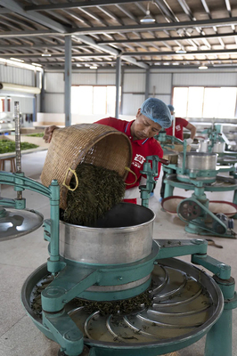 勐海茶廠榮膺“云南省綠色工廠”稱(chēng)號(hào) 綠色制茶引領(lǐng)可持續(xù)發(fā)展